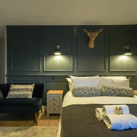 Apartment The Willow Bristol