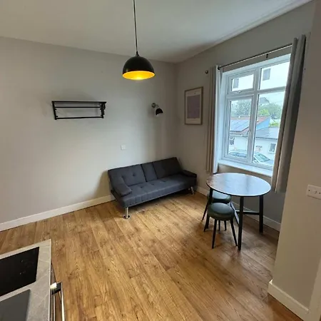 Apartment The Willow Bristol